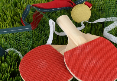 Image showing two tennis rackets, a net and a tennis ball